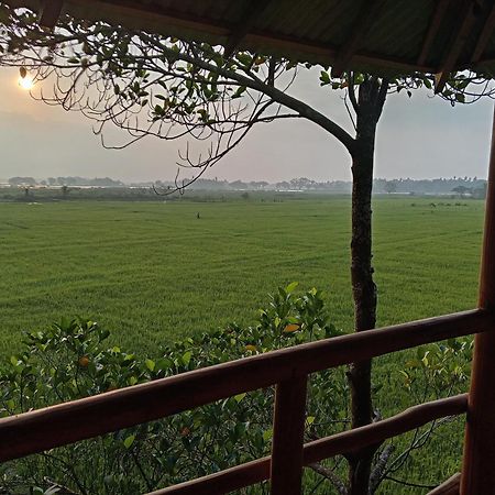 Lake Side View Cabana 蒂瑟默哈拉默 外观 照片