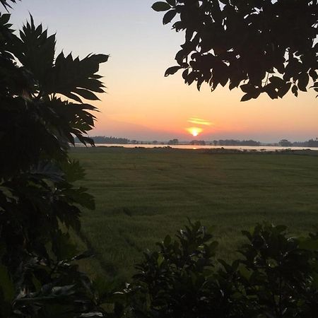Lake Side View Cabana 蒂瑟默哈拉默 外观 照片