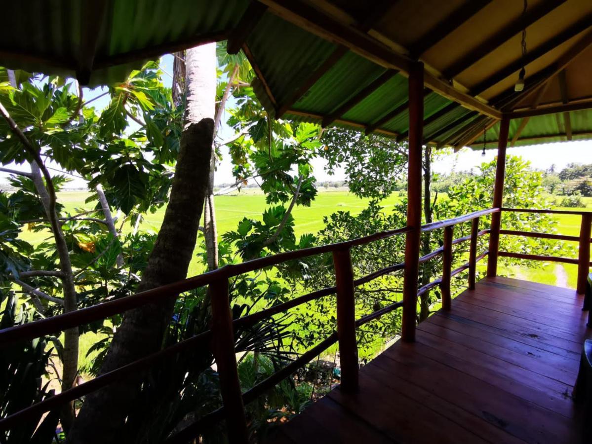 Lake Side View Cabana 蒂瑟默哈拉默 外观 照片