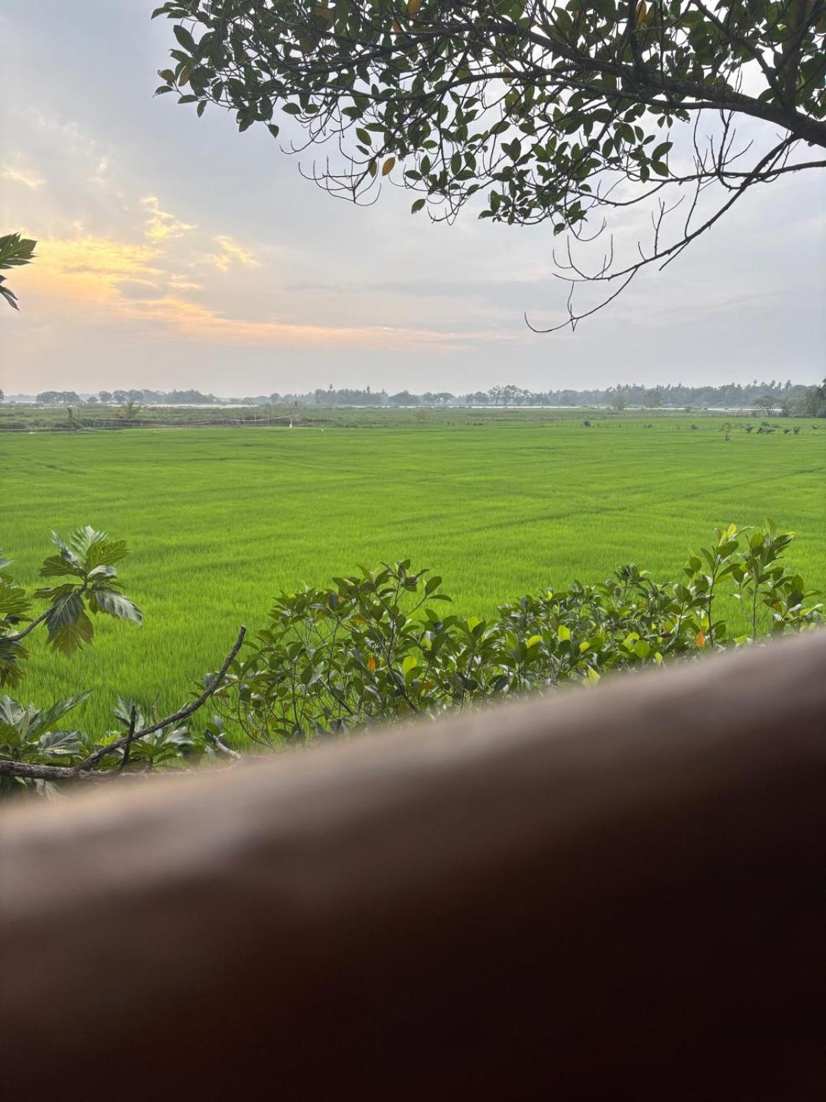 Lake Side View Cabana 蒂瑟默哈拉默 客房 照片