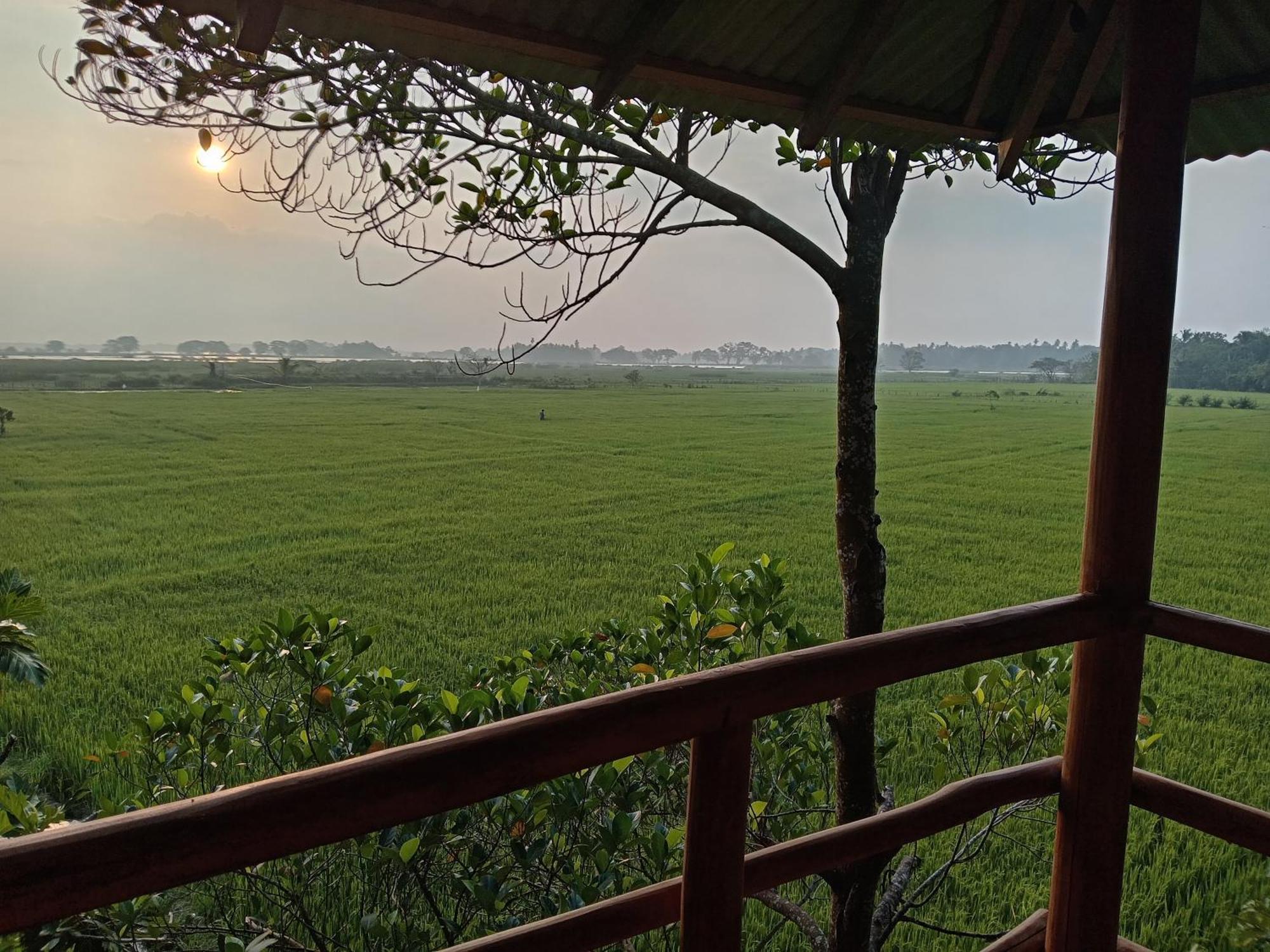 Lake Side View Cabana 蒂瑟默哈拉默 外观 照片