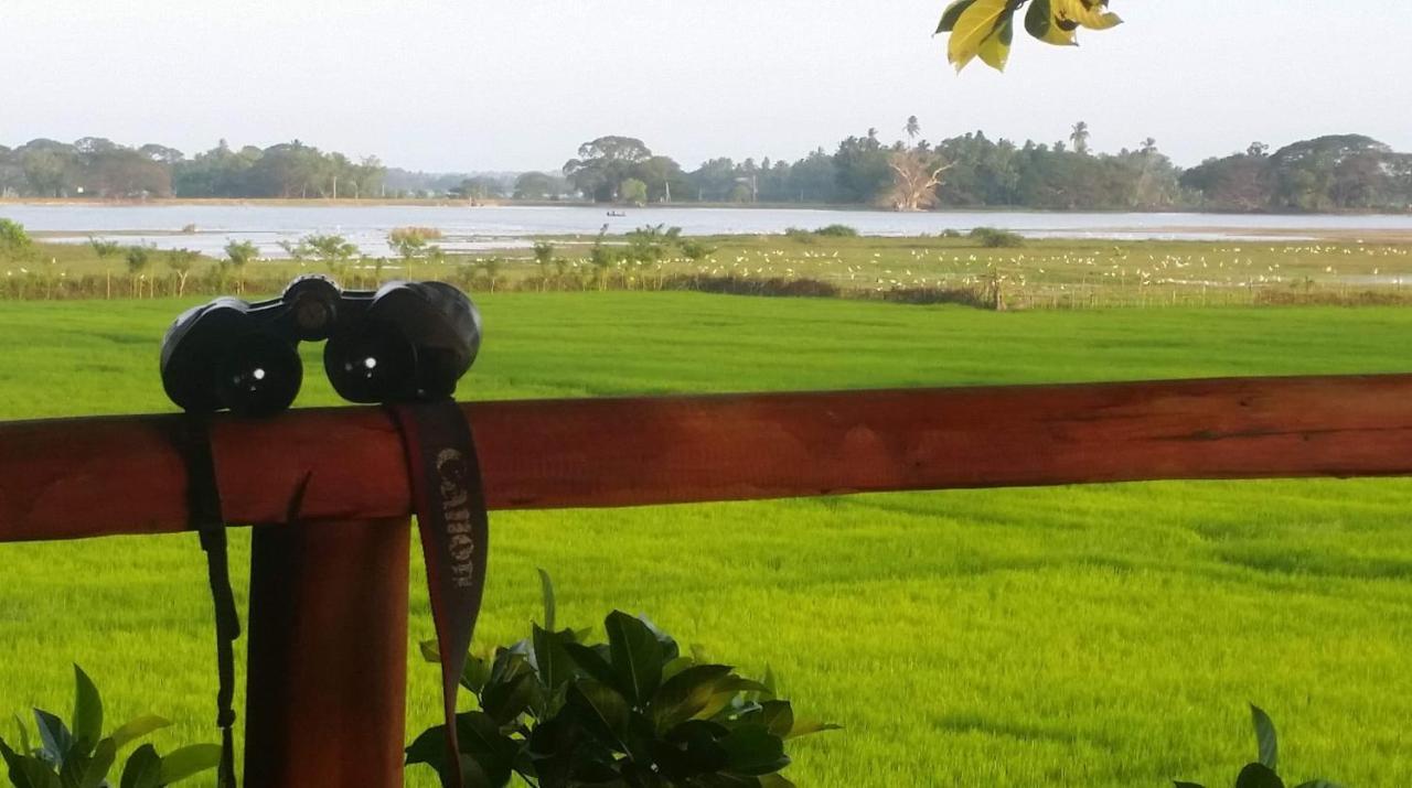 Lake Side View Cabana 蒂瑟默哈拉默 外观 照片